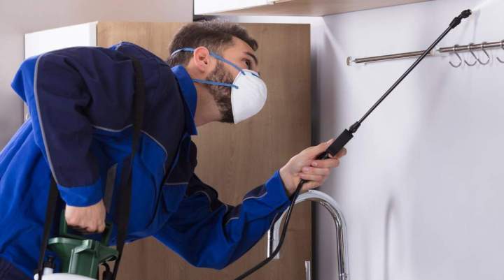 Professional Exterminators Miami