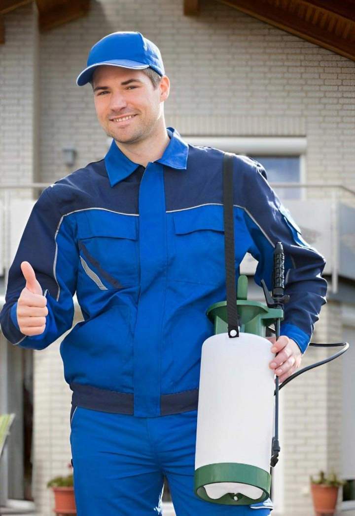 Pest Treatment Services Miami