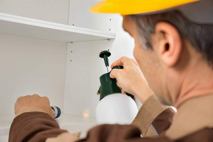 Miami Pest Prevention