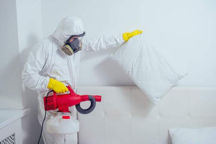 Pest Control Company Miami