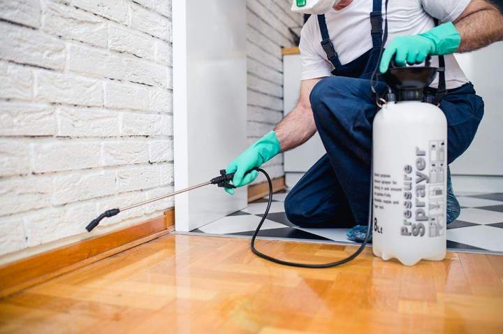 Termite Extermination Miami