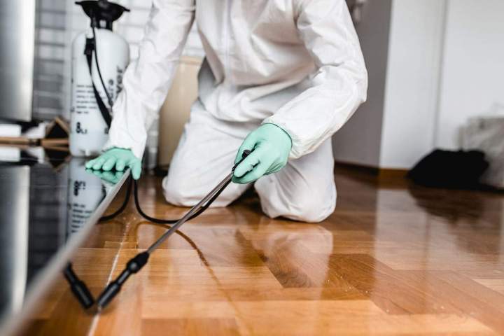 Fumigation Services Miami