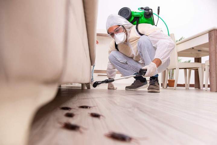 Exterminator Services Miami