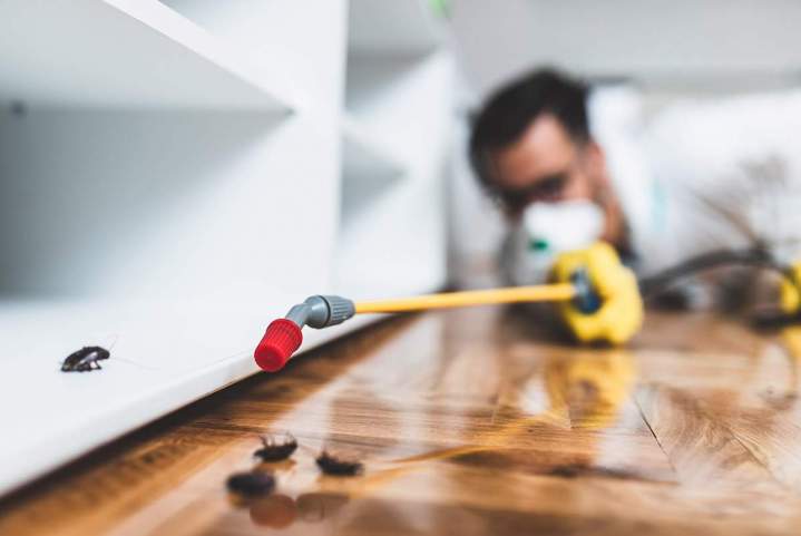 Exterminator Services Miami