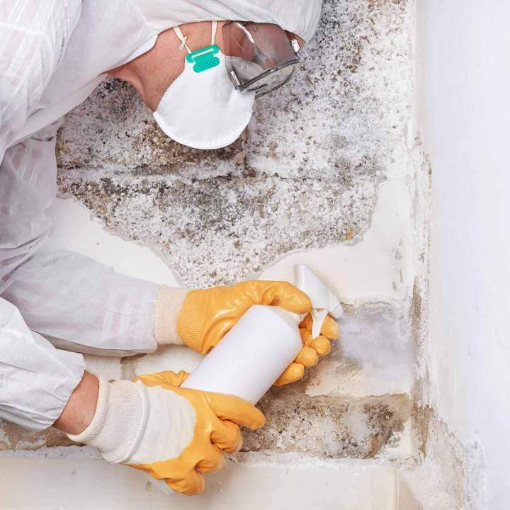 Fumigation Miami
