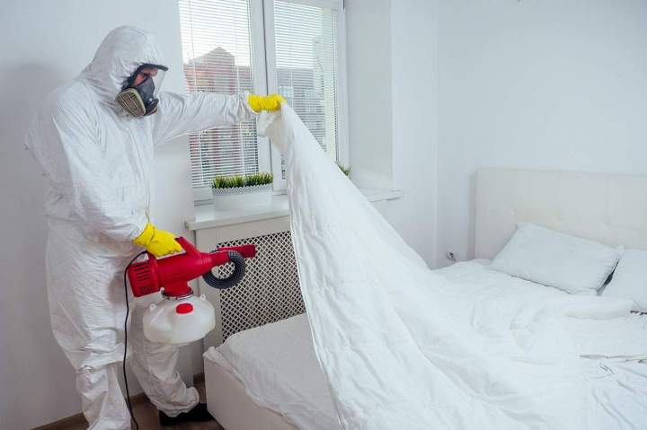 Pest Control Miami