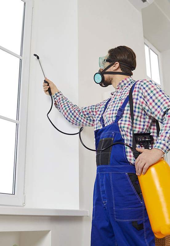 Exterminator and Pest Control Miami