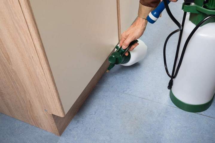 Pest Control Services Miami