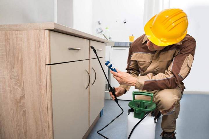 Pest Control Miami