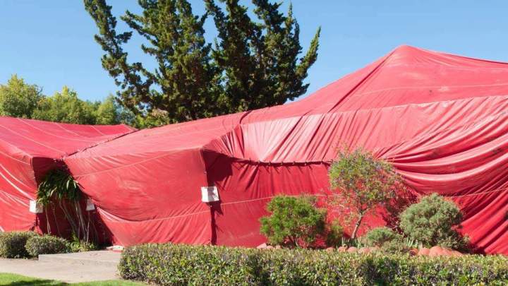 Full-home termite tenting to eradicate infestations and preserve structures.