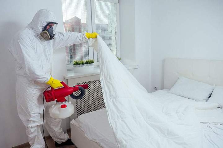 Pest Control Services Miami