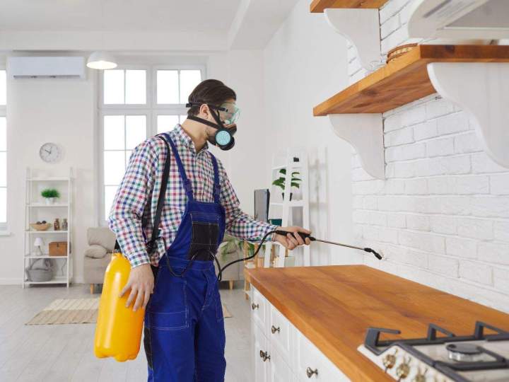 Quick, expert extermination to remove pests and restore your peace.